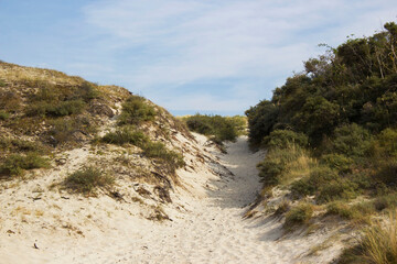 the dunes landscape in Haamstede, Zeeland in the Netherlands - 776149984