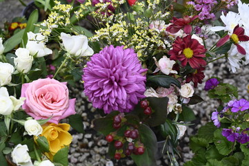 Fleurs colorées