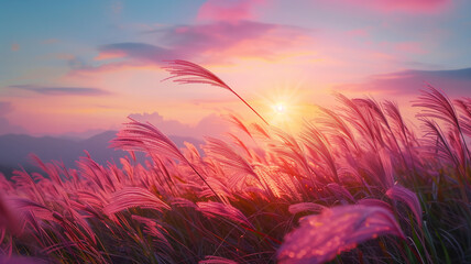 Sunset behind delicate grass silhouettes.