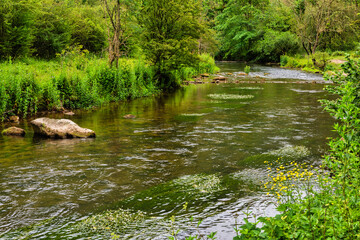 The River Wye in Monsal Dale in the Peak District in Derbyshire, England