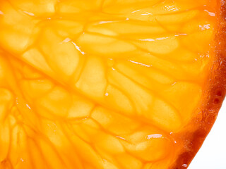 Slice of tangerine on white background. Close Up, top view
