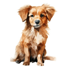 Watercolor vector of a dog (Puppy), isolated on a white background, design art, drawing clipart, Illustration painting, Graphic logo, dog vector 