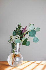 Branches of eucalyptus in a glass vase, minimal home decor in natural light