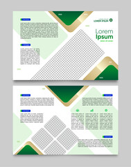 Professional Edge: Sleek Corporate Brochure Design