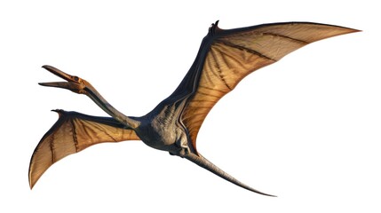Clipart vector illustration of a flying dinosaur, Pterodactyl.