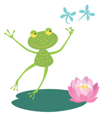 Frog cartoon green cheerful, playful, active, jumping, leaf, pink water lily, summer, pond, flying dragonflies, vector illustration isolated on white