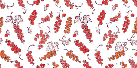 Red currant berries ripe twigs bunches, outline, hand drawn, seamless pattern vector, white background, wallpaper,paper,textile,fabric