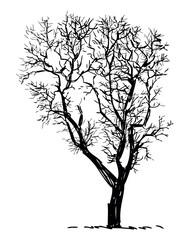 Tree bare deciduous silhouette single, crooked,seasonal, sketch, vector hand drawn illustration isolated on white