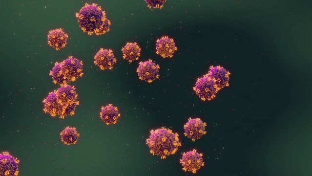 Measles viruses in the blood. Measles also known as morbilli and rubeola is a highly contagious, childhood viral infection and can be prevented by immunization with the measles vaccine.