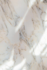 white italian Arabescato marble with sunlight