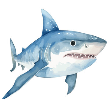 Watercolor painting vector of a shark in sea, isolated on a white background, shark vector, clipart Illustration, Graphic logo, drawing design art, clipart image