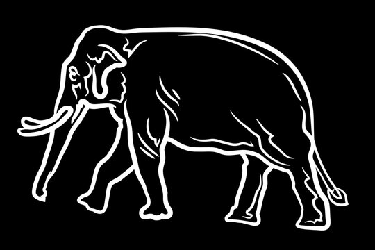 Elephant Icon.Cute elephant cartoon outline icon. Cute baby elephant cartoon outline. - 58