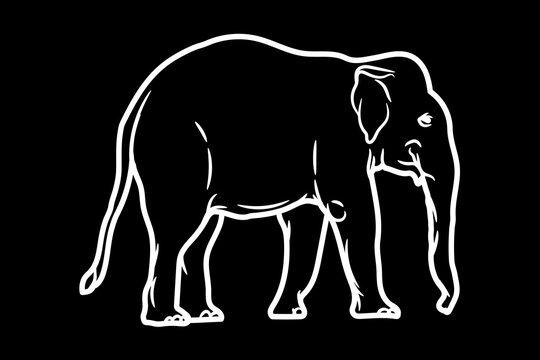 Elephant Icon.Cute elephant cartoon outline icon. Cute baby elephant cartoon outline. - 62