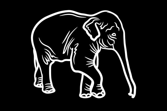 Elephant Icon.Cute elephant cartoon outline icon. Cute baby elephant cartoon outline. - 63