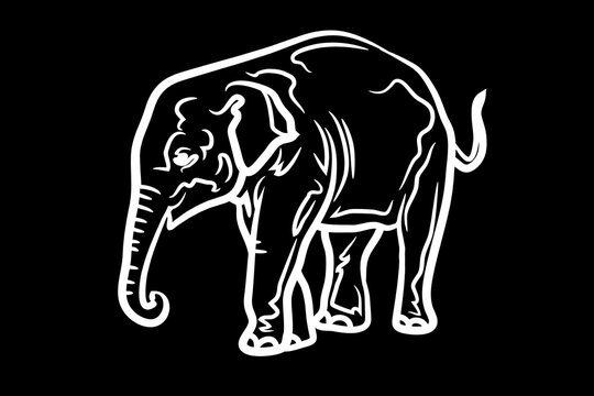 Elephant Icon.Cute elephant cartoon outline icon. Cute baby elephant cartoon outline. - 69