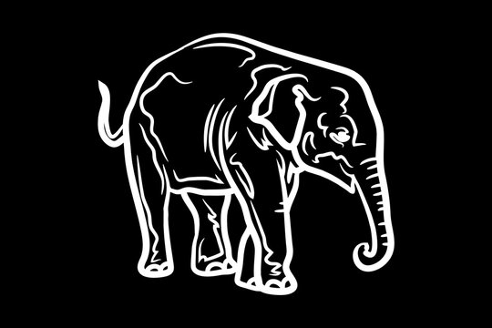 Elephant Icon.Cute elephant cartoon outline icon. Cute baby elephant cartoon outline. - 70