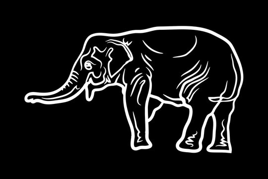 Elephant Icon.Cute elephant cartoon outline icon. Cute baby elephant cartoon outline. - 72
