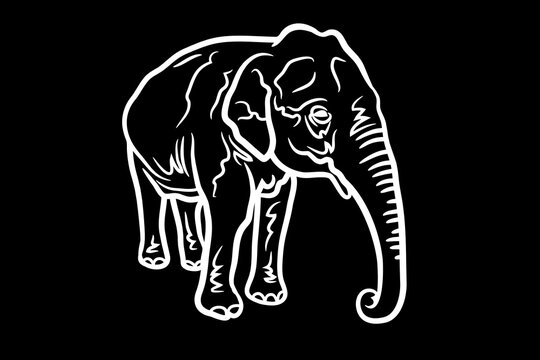 Elephant Icon.Cute elephant cartoon outline icon. Cute baby elephant cartoon outline. - 80