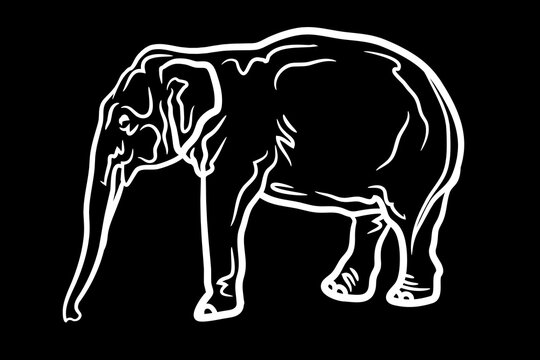 Elephant Icon.Cute elephant cartoon outline icon. Cute baby elephant cartoon outline. - 82