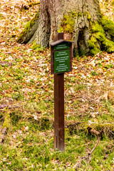 Eine frühlingshafte Wandertour durch das Kirnitzschtal in der Sächsische Schweiz - Sachsen - Deutschland