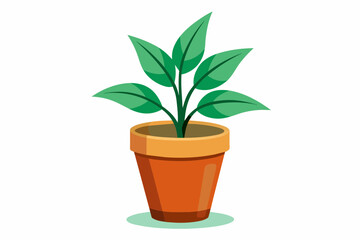 A plant in the palmtop, no background