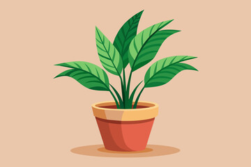 A plant in the palmtop, no background