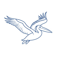 Pelican in Flight Continuous Line Drawing with Editable