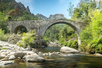 Fototapeta na wymiar Blick auf die mittelalterliche Genueserbrücke Pont de Mela, Korsika
