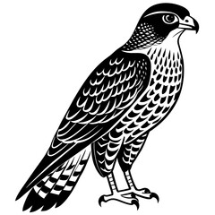 sparrowhawk silhouette vector illustration svg file
