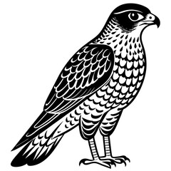 Obraz premium sparrowhawk silhouette vector illustration svg file 