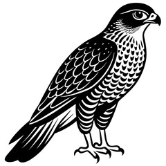 sparrowhawk silhouette vector illustration svg file
