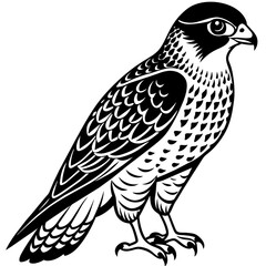 sparrowhawk silhouette vector illustration svg file
