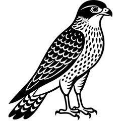sparrowhawk silhouette vector illustration svg file
