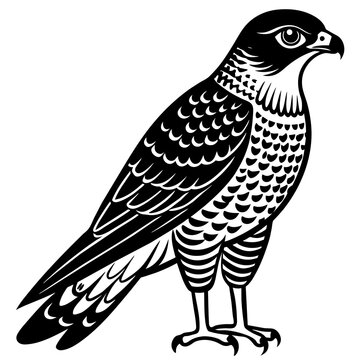 recommend clip art: sparrowhawk silhouette vector illustration svg file
                    