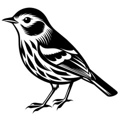warbler silhouette vector illustration svg file
