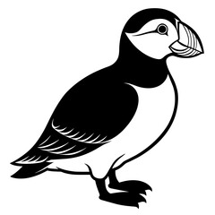 puffin silhouette vector illustration svg file
