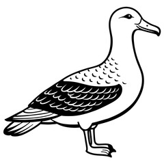 albatross silhouette vector illustration svg file
