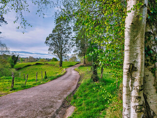 Local road between Naveda and Pandenes, Cabranes municipality, Asturias, Spain