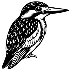 kingfisher silhouette vector illustration svg file
