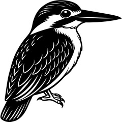 kingfisher silhouette vector illustration svg file