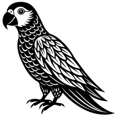 parrot  silhouette vector illustration svg file
