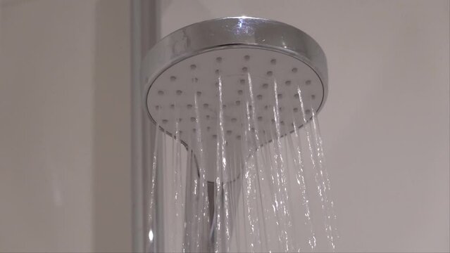 A domestic shower head with running water