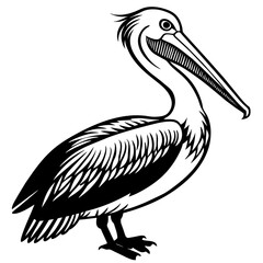 pelican silhouette vector illustration svg file
