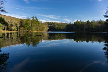 Lakeside Reflections