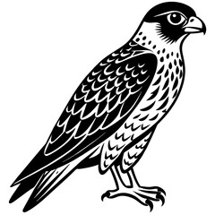Obraz premium falcon silhouette vector illustration svg file 