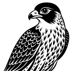 falcon silhouette vector illustration svg file
