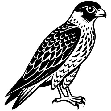 recommend clip art: falcon silhouette vector illustration svg file
                    