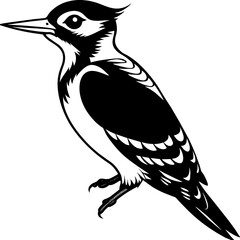 woodpecker silhouette vector illustration svg file
