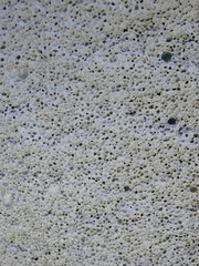 Texture of aerated concrete. What's inside a building block? White aerated concrete texture or background