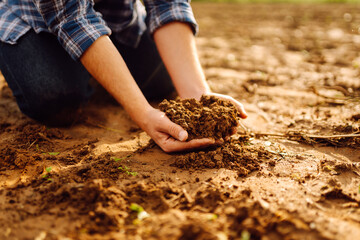 Soil in the hands of a farmer. Close-up of hands with black soil.  Ecology, agriculture concept.
